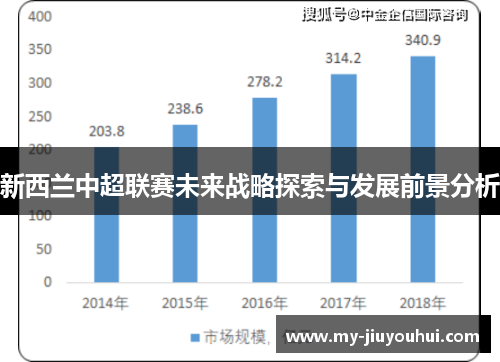 新西兰中超联赛未来战略探索与发展前景分析