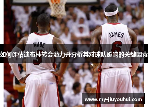 如何评估迪布林转会潜力并分析其对球队影响的关键因素