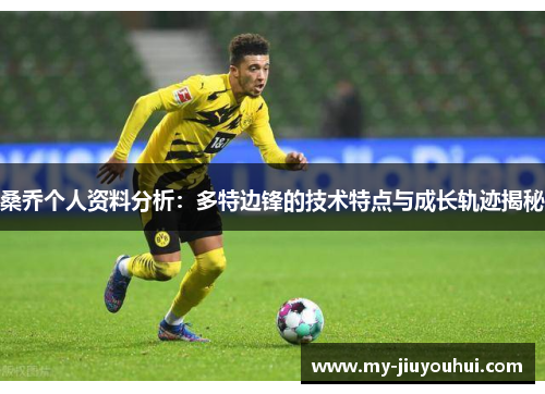 桑乔个人资料分析：多特边锋的技术特点与成长轨迹揭秘