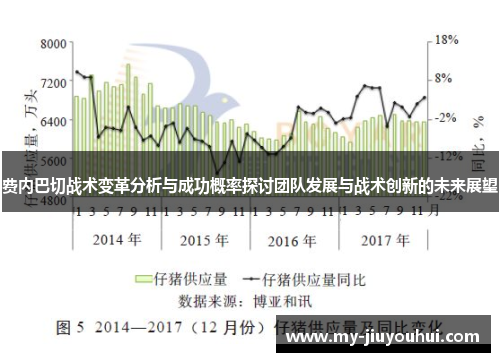 费内巴切战术变革分析与成功概率探讨团队发展与战术创新的未来展望