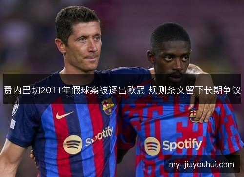 费内巴切2011年假球案被逐出欧冠 规则条文留下长期争议 费内巴切2011年假球案被逐出欧冠 规则条文留下长期争议